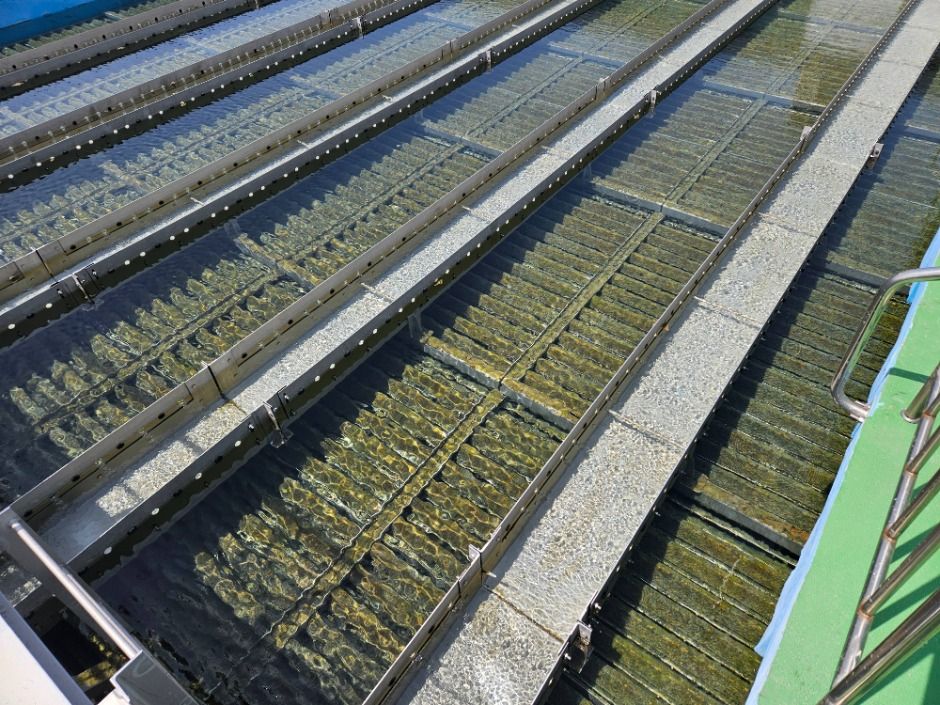 서울_뚝도 아리수 정수센터 (5)