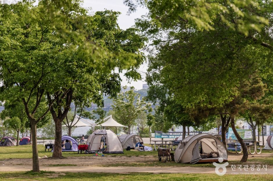 서울_뚝섬한강공원 (1)