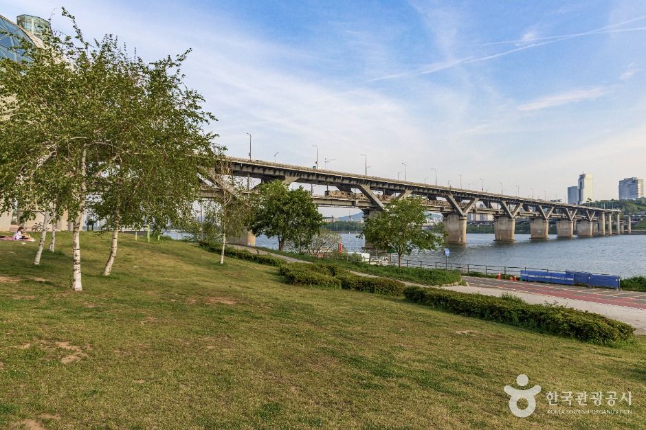 서울_뚝섬한강공원 (5)