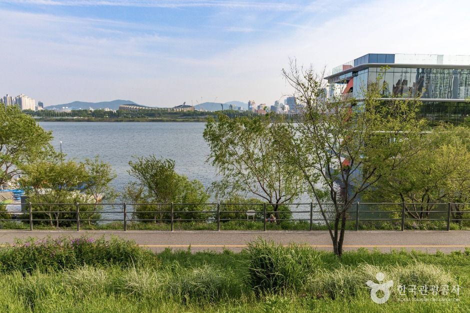 서울_뚝섬한강공원 (6)