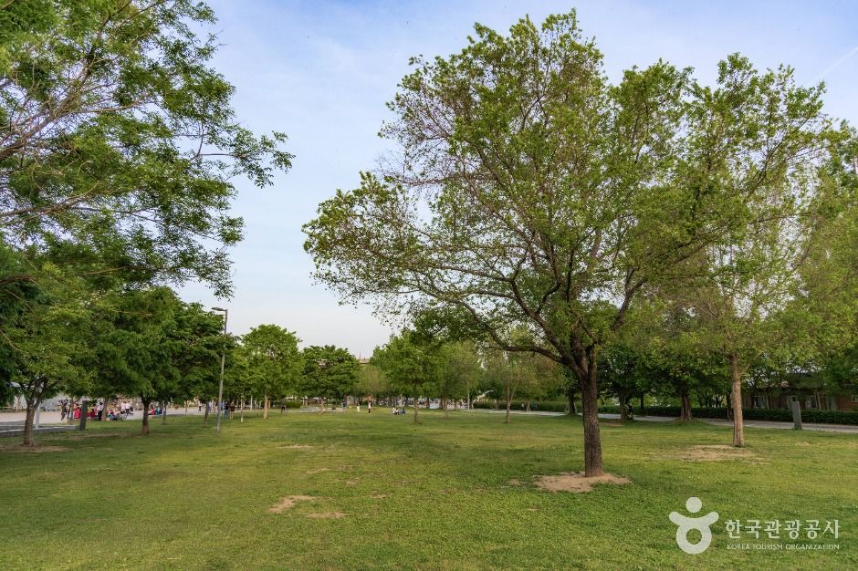 서울_뚝섬 한강공원 벽천마당 (2)