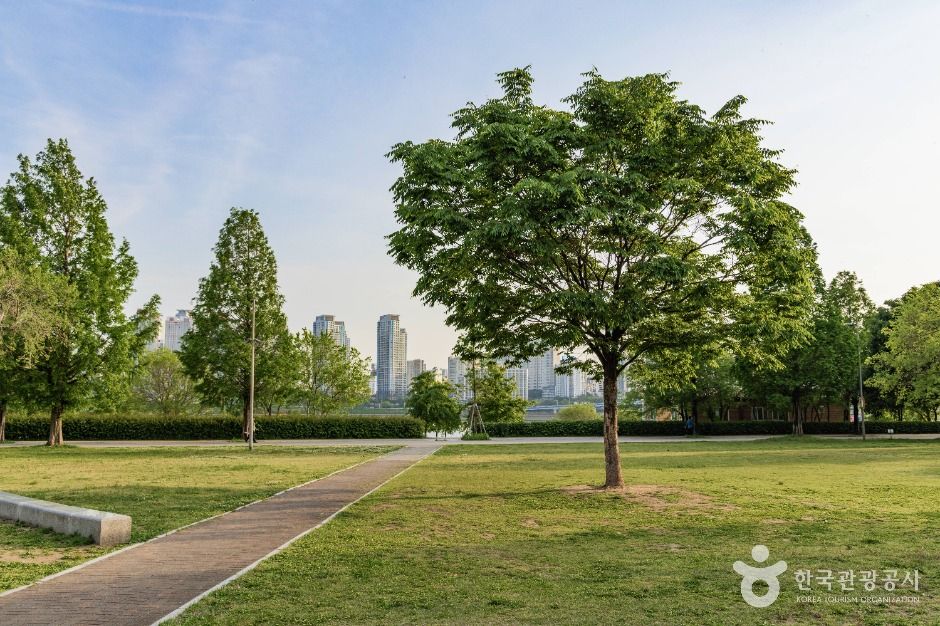 서울_뚝섬 한강공원 벽천마당 (6)