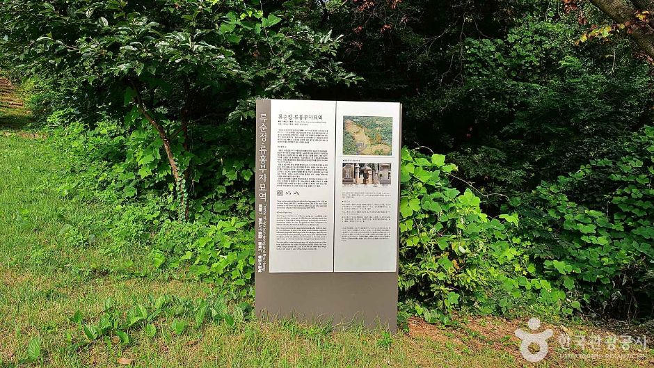 류순정·류홍 부자 묘역 (1)