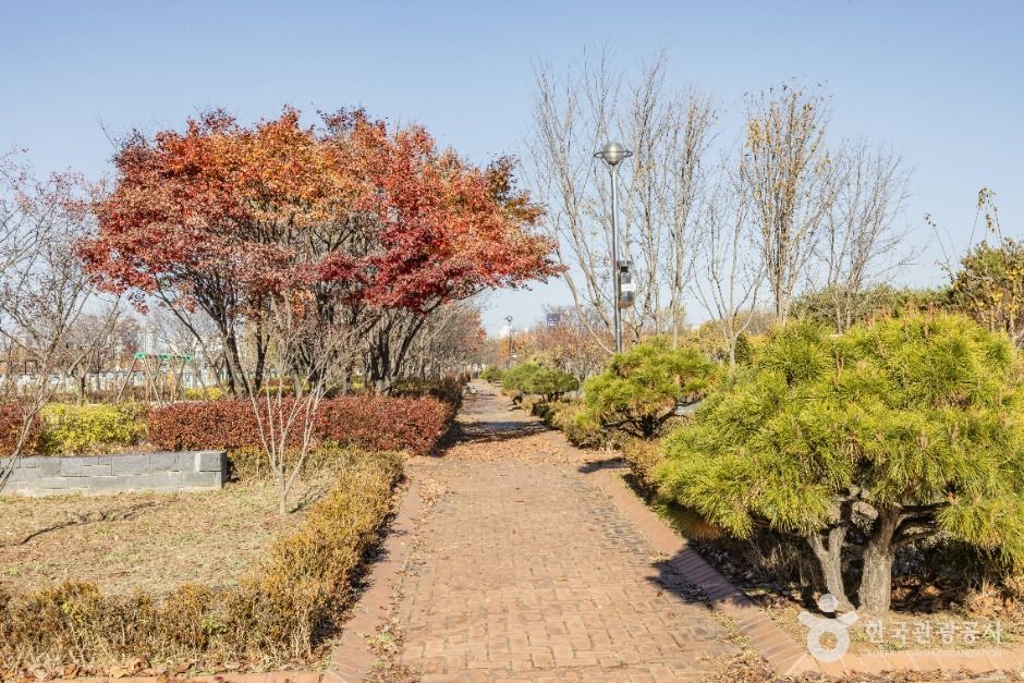 서울강남_마루공원 (4)