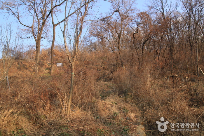 서울_중랑_망우산(서울)01