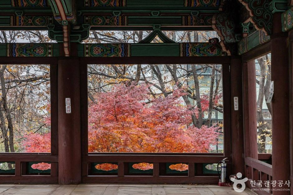 서울_마포구_망원정지_4