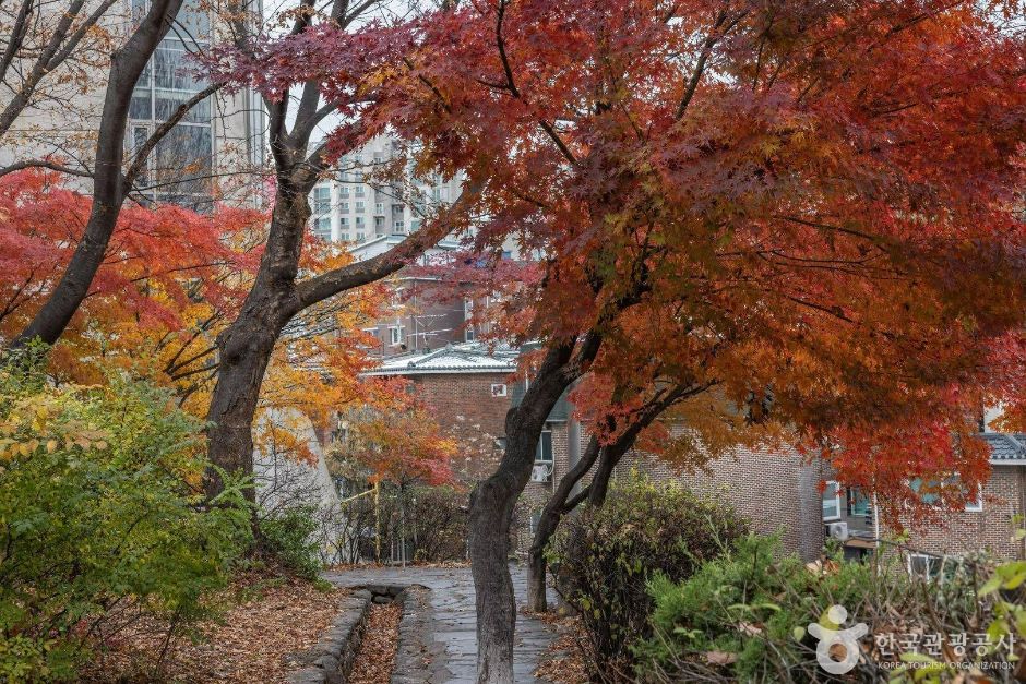 서울_마포구_망원정지_10