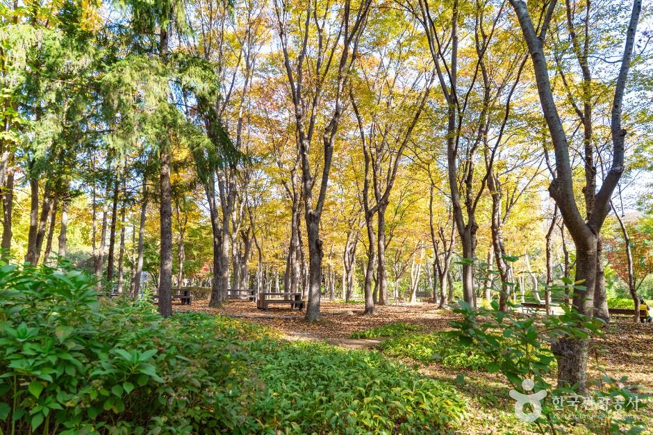 서울_매헌시민의 숲 (1)