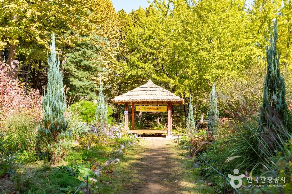 서울_매헌시민의 숲 (2)