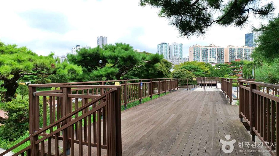 서울_맥아더 사령관 한강방어선 시찰지 (2)