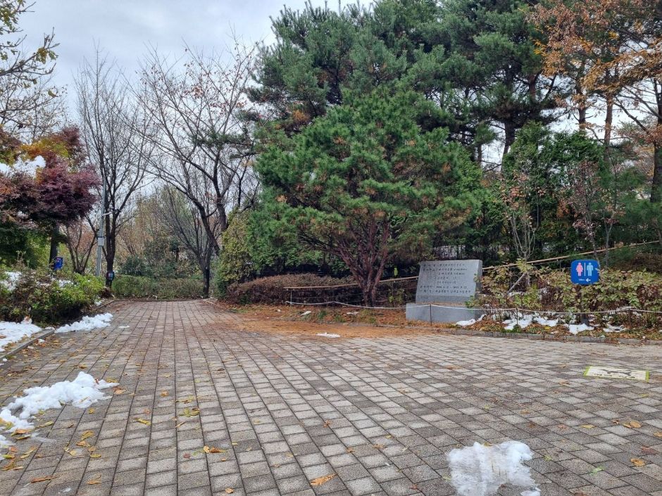 몽마르뜨공원 입구에서 공원까지 도착하는 길_4