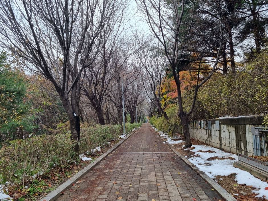 몽마르뜨공원 입구에서 공원까지 도착하는 길_5