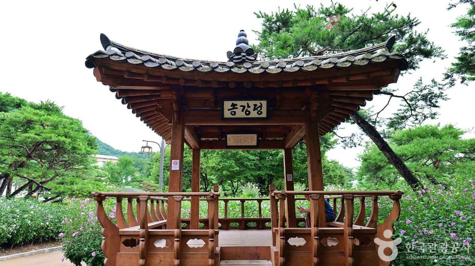 서울_종로_무궁화동산 (7)