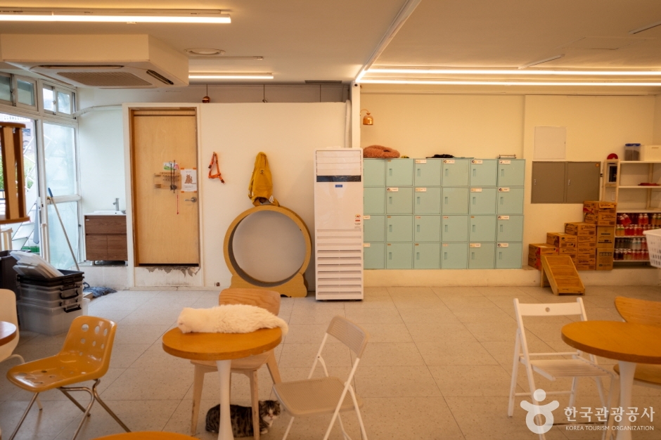 미어캣파크 (10)