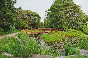 남산 야외식물원