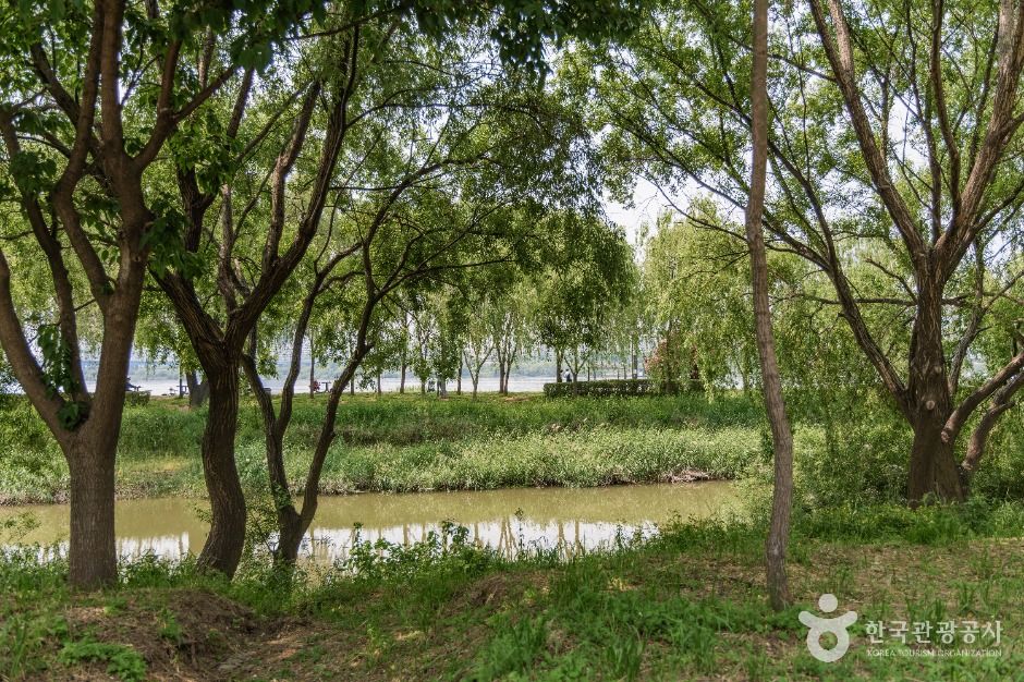 서울_반포 서래섬 (1)