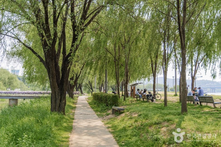 서울_반포 서래섬 (2)