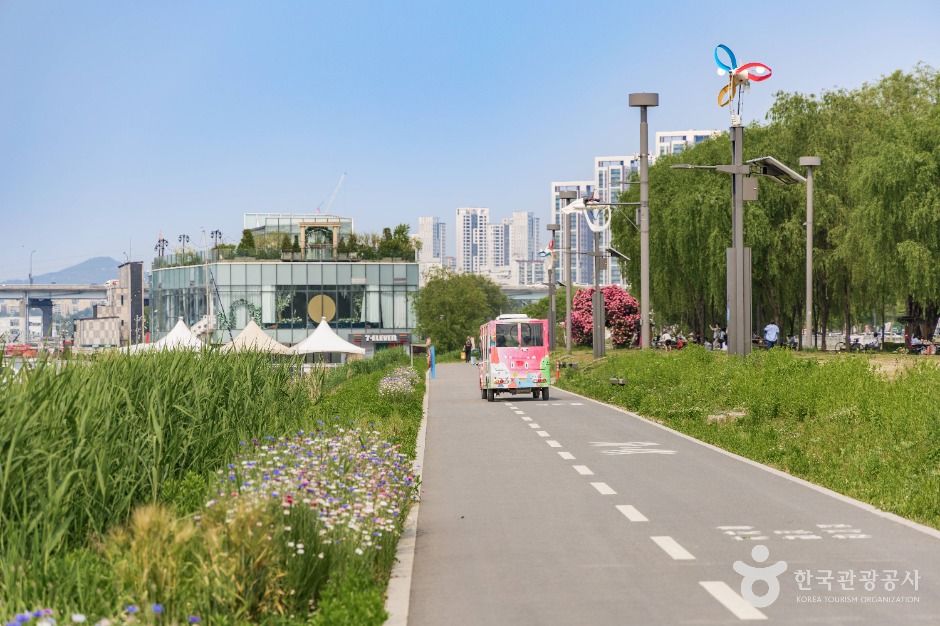 서울_반포 서래섬 (4)