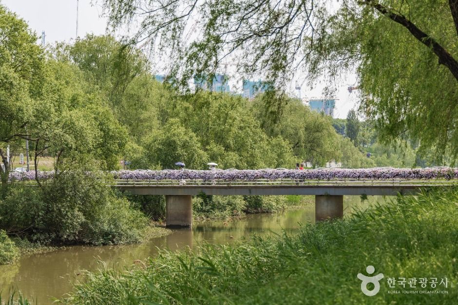 서울_반포 서래섬 (5)