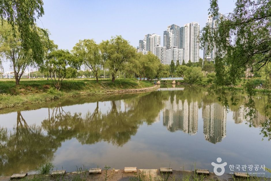 서울_반포 서래섬 (7)