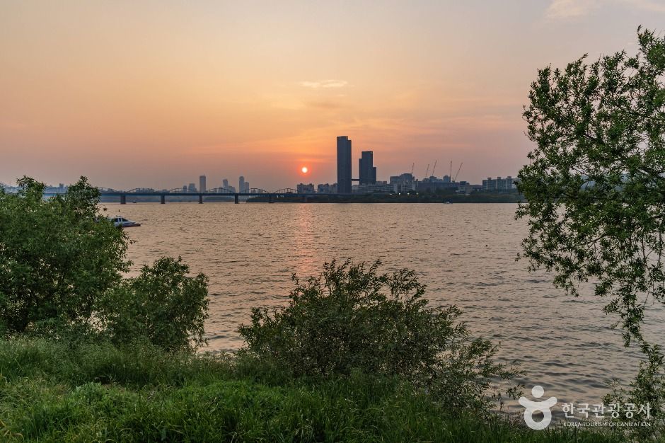 서울_반포한강공원 (4)