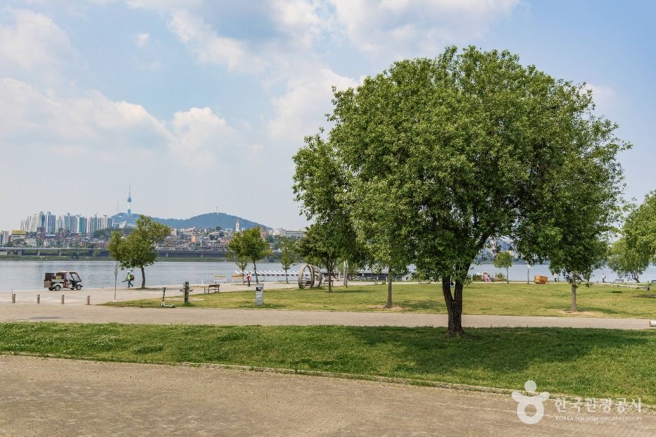 서울_반포한강공원 (5)