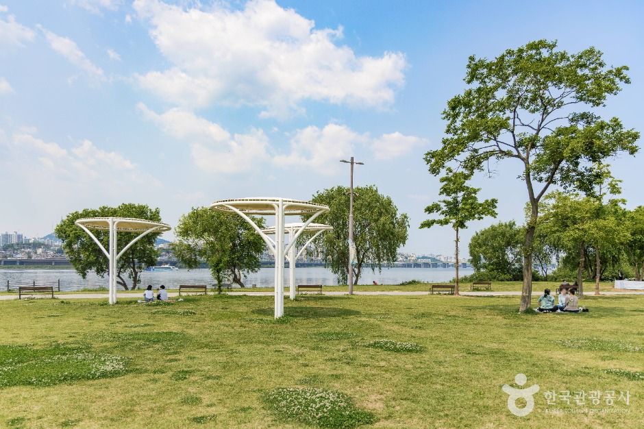 서울_반포한강공원 (6)