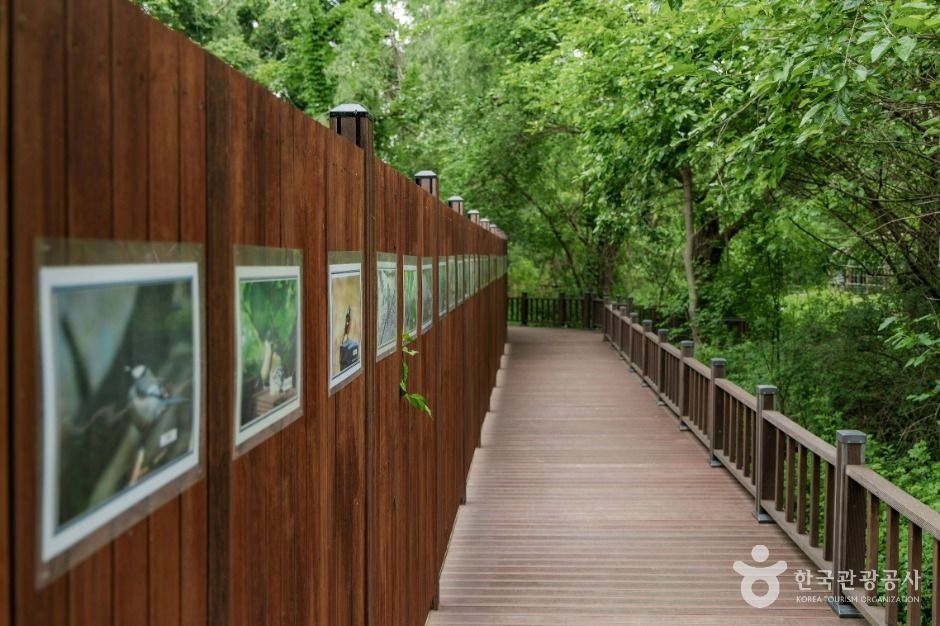 서울_방이동 생태경관 보전지역 (3)