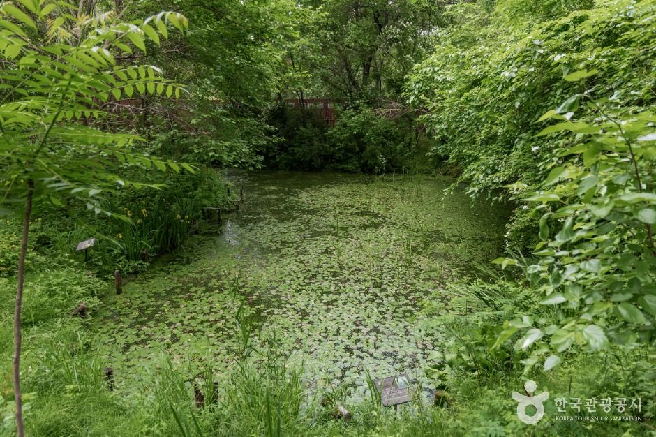 서울_방이동 생태경관 보전지역 (4)