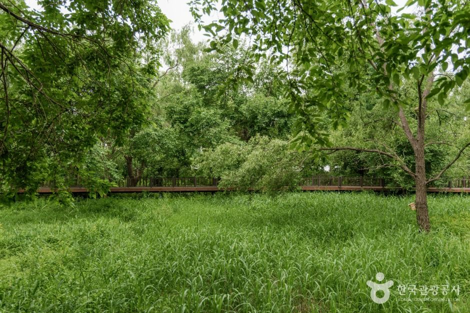 서울_방이동 생태경관 보전지역 (6)
