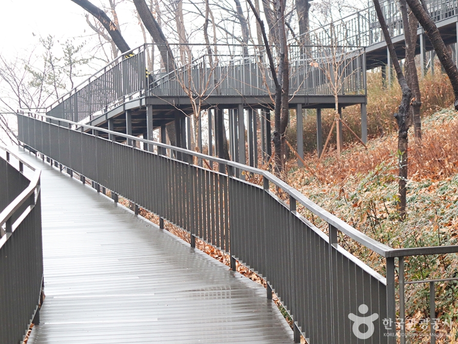 N01623_서울_강서_봉제산공원 (8)