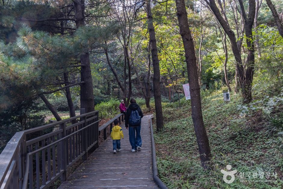 서울_봉화산(서울) (2)