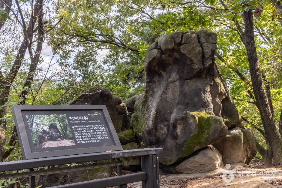 서울_봉화산(서울) (13)