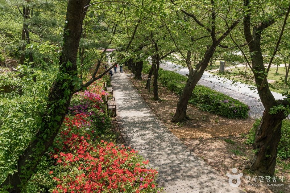 서울_북서울꿈의숲 (3)