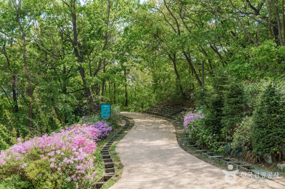 서울_북서울꿈의숲 (5)