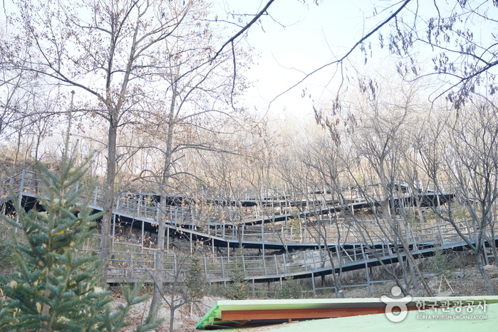 무장애_서울_북한산자락길01