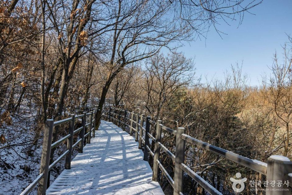 서울_성북구_북한산 자락길_17