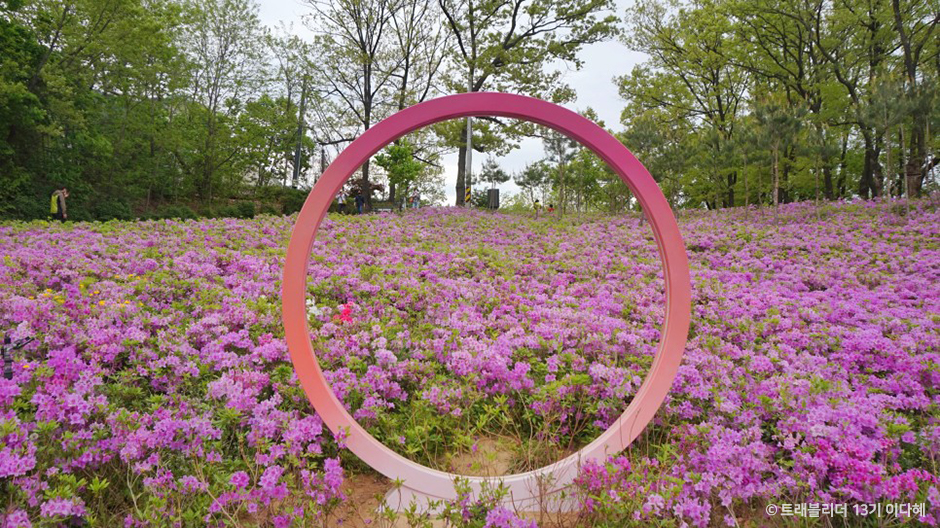 서울시_노원구_불암산나비정원_서울의 새로운 철쭉명소 불암산 나비정원 (5)