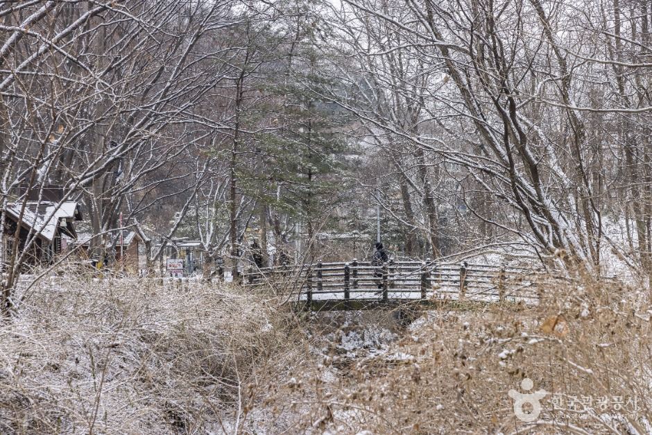 서울강북_빨래골 (12)