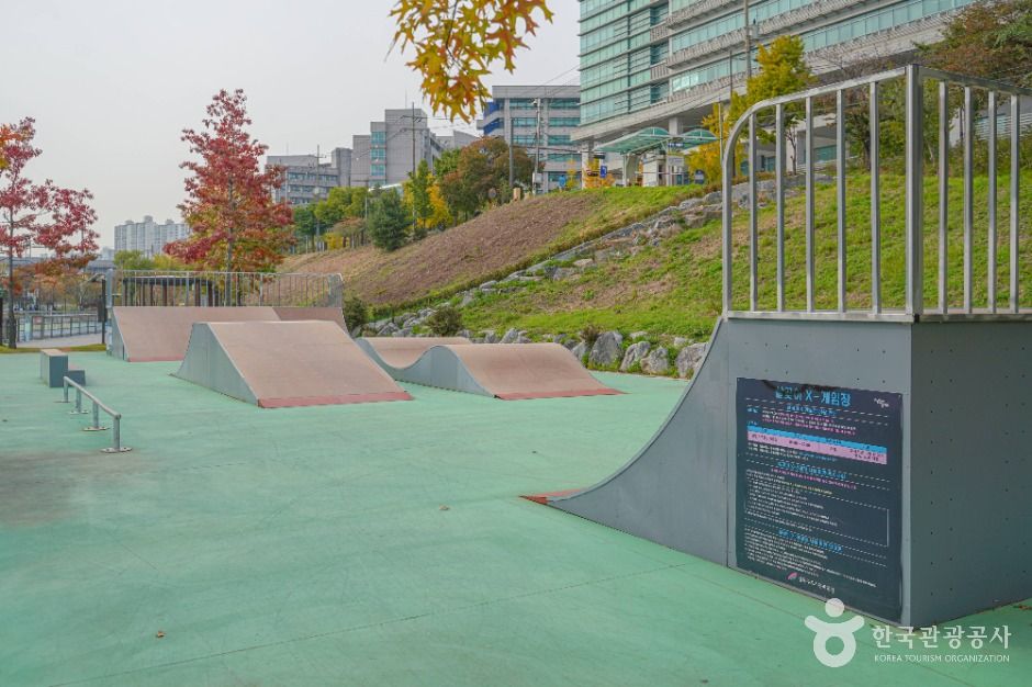 서울_살곶이체육공원 (1)