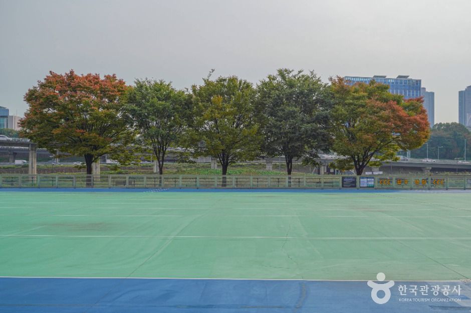 서울_살곶이체육공원 (3)