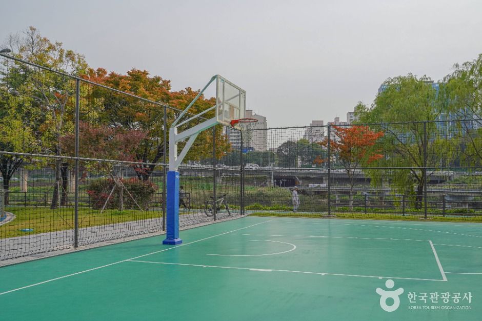 서울_살곶이체육공원 (4)