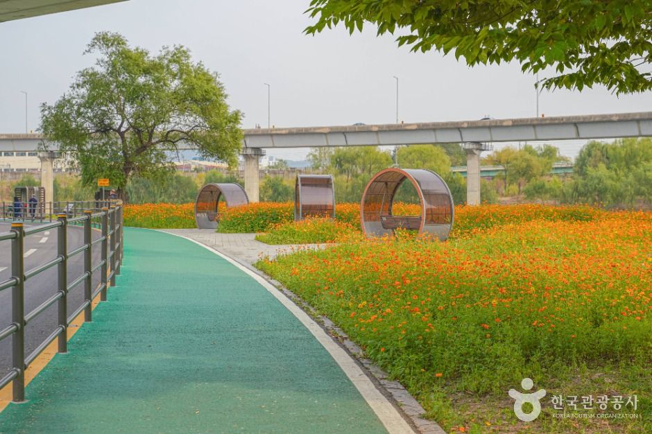 서울_살곶이체육공원 (7)