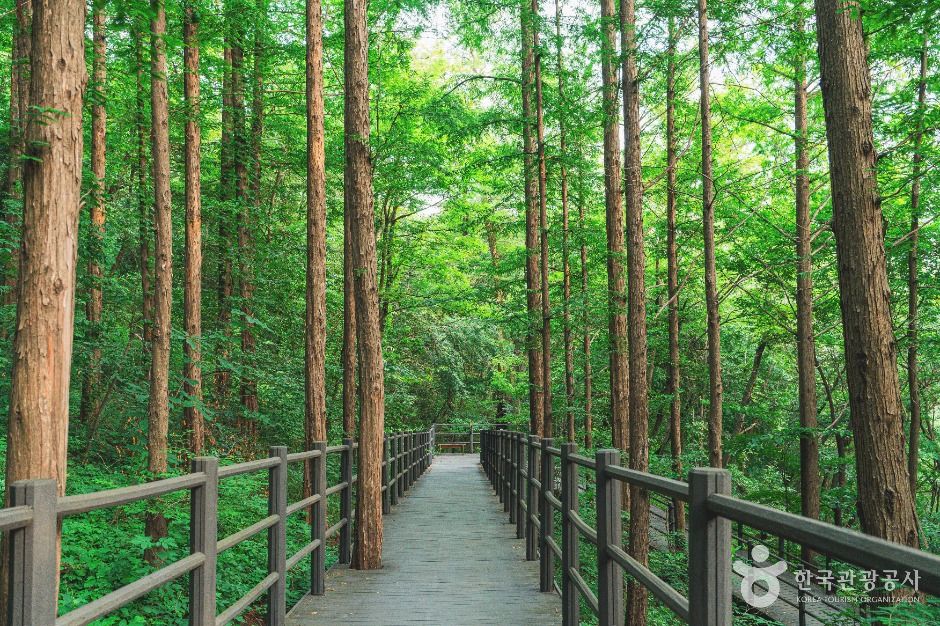 서대문 안산(안산자락길)