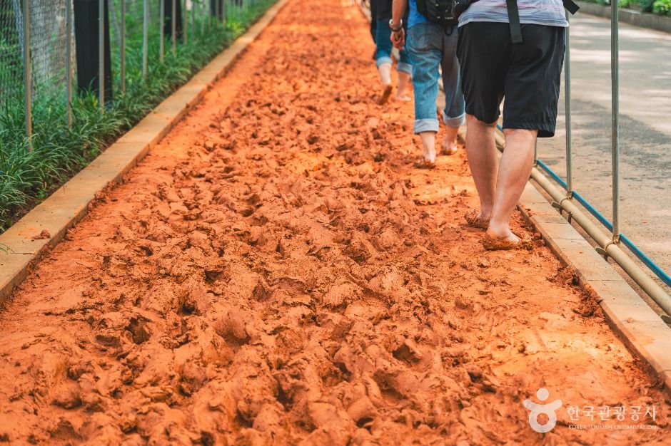 서울_서대문안산 (2)