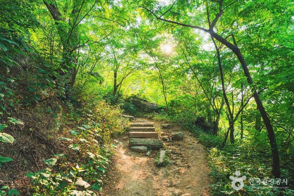 서울_서대문안산 (3)