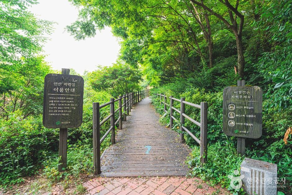 서울_서대문안산 (4)