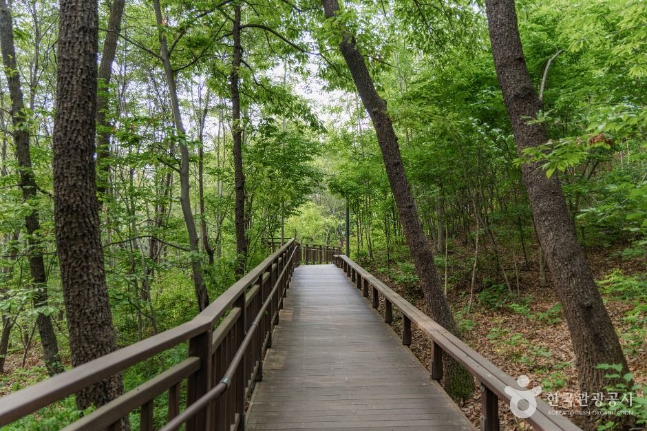 서울_서리풀공원 (3)