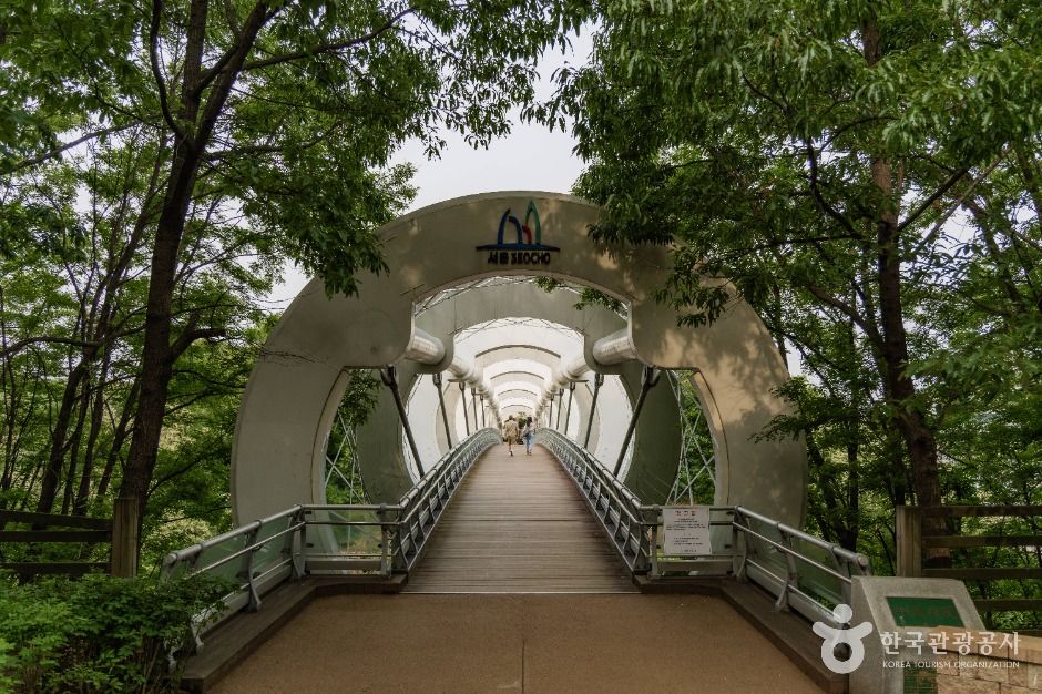 서울_서리풀공원 (5)