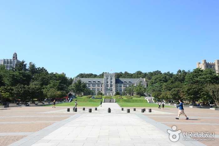 고려대학교